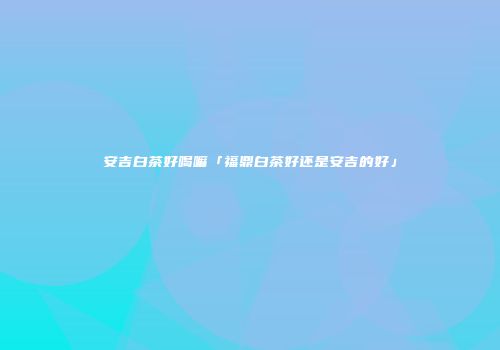 安吉白茶好喝嘛「福鼎白茶好还是安吉的好」