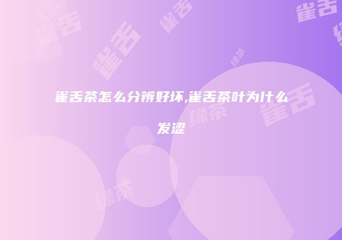 雀舌茶怎么分辨好坏,雀舌茶叶为什么发涩