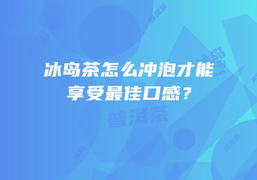 冰岛茶怎么冲泡才能享受最佳口感？
