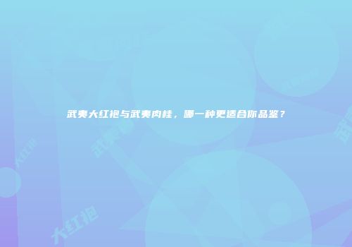 武夷大红袍与武夷肉桂，哪一种更适合你品鉴？