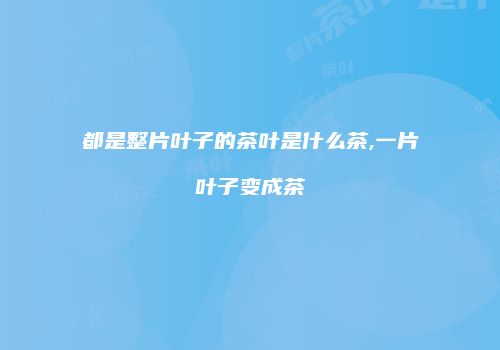 都是整片叶子的茶叶是什么茶,一片叶子变成茶