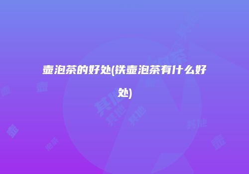 壶泡茶的好处(铁壶泡茶有什么好处)