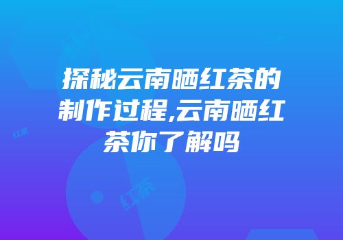 探秘云南晒红茶的制作过程,云南晒红茶你了解吗