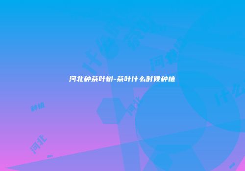 河北种茶叶树-茶叶什么时候种植