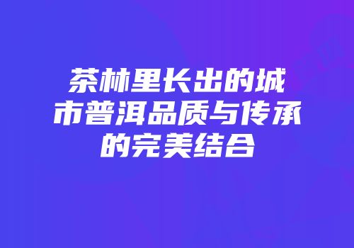 茶林里长出的城市普洱品质与传承的完美结合
