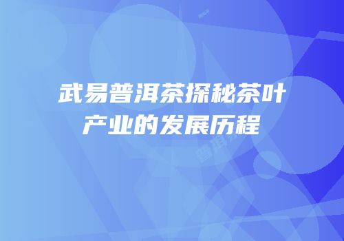 武易普洱茶探秘茶叶产业的发展历程