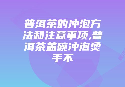 普洱茶的冲泡方法和注意事项,普洱茶盖碗冲泡烫手不