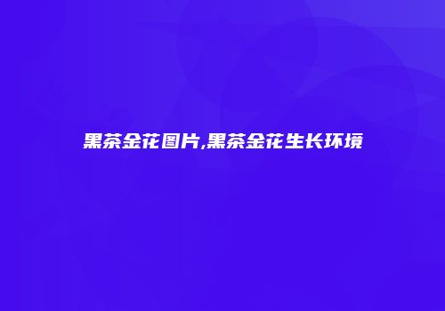 黑茶金花图片,黑茶金花生长环境