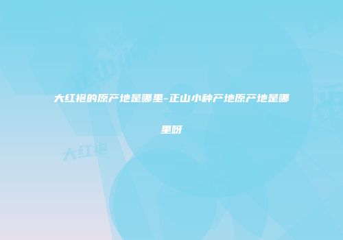 大红袍的原产地是哪里-正山小种产地原产地是哪里呀