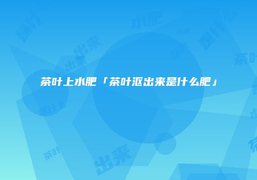 茶叶上水肥「茶叶沤出来是什么肥」