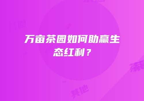 万亩茶园如何助赢生态红利？
