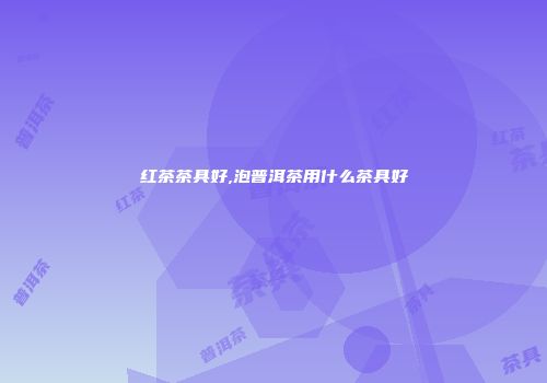 红茶茶具好,泡普洱茶用什么茶具好