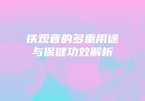 铁观音的多重用途与保健功效解析