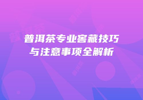 普洱茶专业窖藏技巧与注意事项全解析