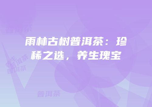 雨林古树普洱茶：珍稀之选，养生瑰宝