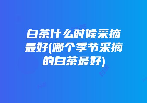白茶什么时候采摘最好(哪个季节采摘的白茶最好)