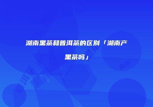 湖南黑茶和普洱茶的区别「湖南产黑茶吗」