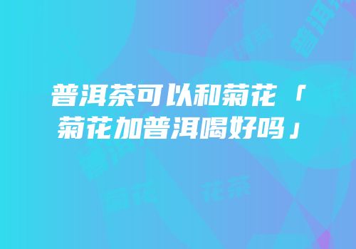 普洱茶可以和菊花「菊花加普洱喝好吗」