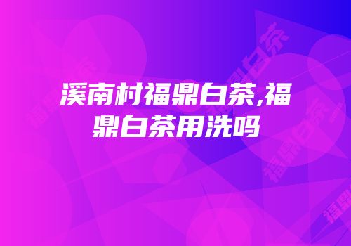 溪南村福鼎白茶,福鼎白茶用洗吗