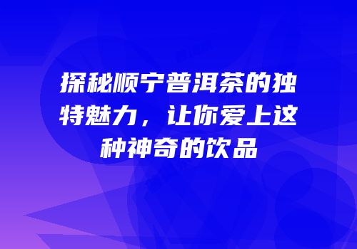 探秘顺宁普洱茶的独特魅力，让你爱上这种神奇的饮品