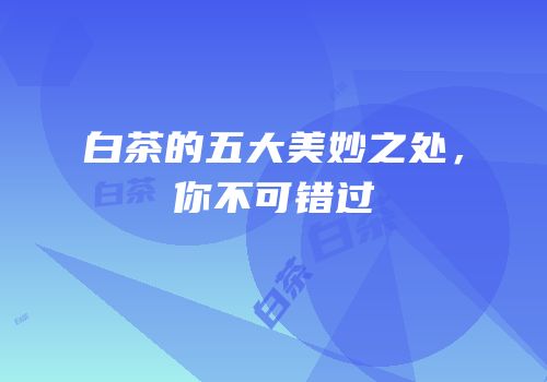 白茶的五大美妙之处，你不可错过
