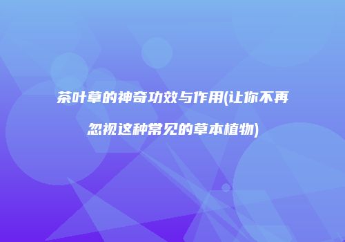 茶叶草的神奇功效与作用(让你不再忽视这种常见的草本植物)