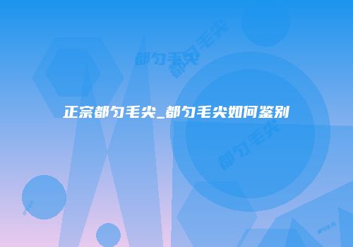 正宗都匀毛尖_都匀毛尖如何鉴别