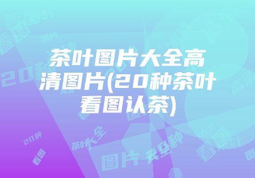 茶叶图片大全高清图片(20种茶叶看图认茶)