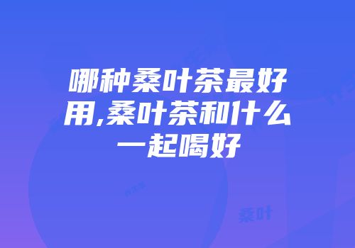 哪种桑叶茶最好用,桑叶茶和什么一起喝好