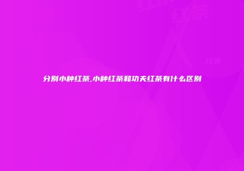 分别小种红茶,小种红茶和功夫红茶有什么区别