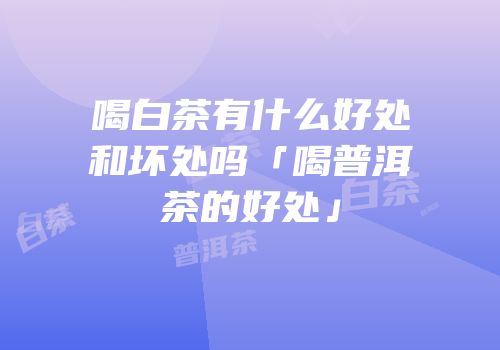 喝白茶有什么好处和坏处吗「喝普洱茶的好处」