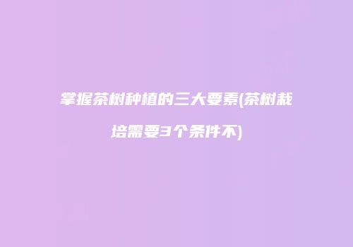 掌握茶树种植的三大要素(茶树栽培需要3个条件不)