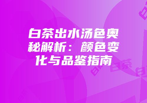 白茶出水汤色奥秘解析：颜色变化与品鉴指南