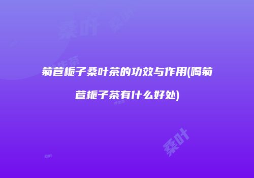 菊苣栀子桑叶茶的功效与作用(喝菊苣栀子茶有什么好处)