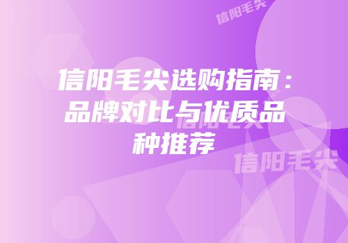 信阳毛尖选购指南：品牌对比与优质品种推荐