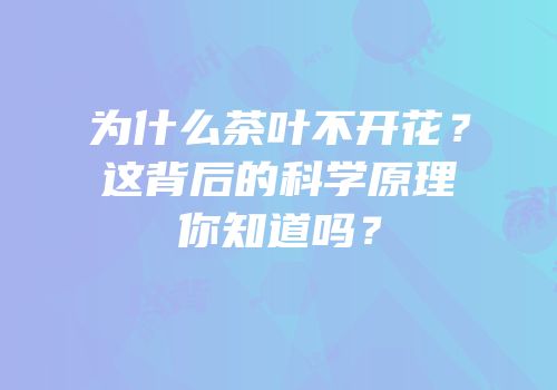 为什么茶叶不开花？这背后的科学原理你知道吗？