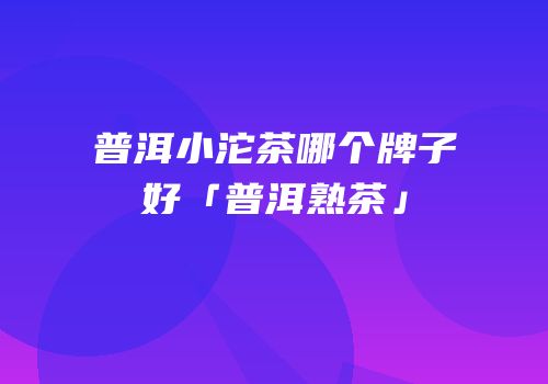 普洱小沱茶哪个牌子好「普洱熟茶」