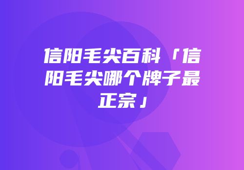信阳毛尖百科「信阳毛尖哪个牌子最正宗」