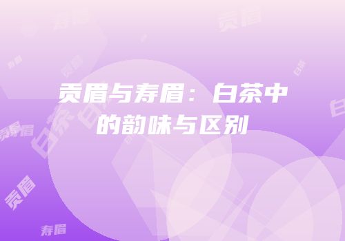 贡眉与寿眉：白茶中的韵味与区别