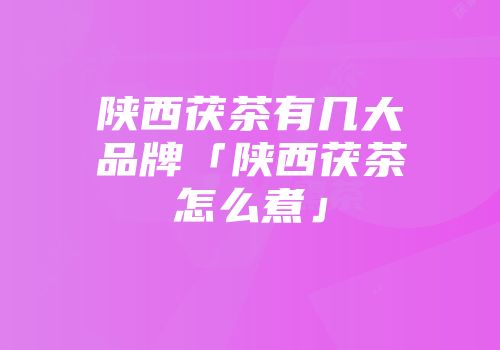 陕西茯茶有几大品牌「陕西茯茶怎么煮」