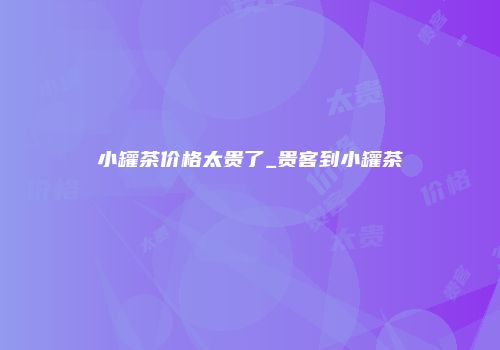 小罐茶价格太贵了_贵客到小罐茶