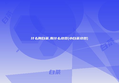 什么叫白茶,有什么功效(小白茶功效)