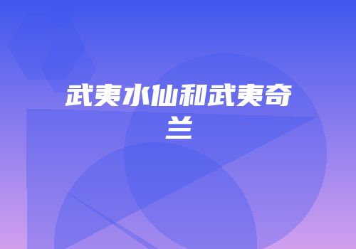 武夷水仙和武夷奇兰