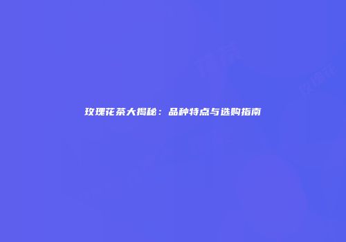玫瑰花茶大揭秘：品种特点与选购指南