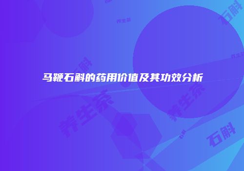 马鞭石斛的药用价值及其功效分析