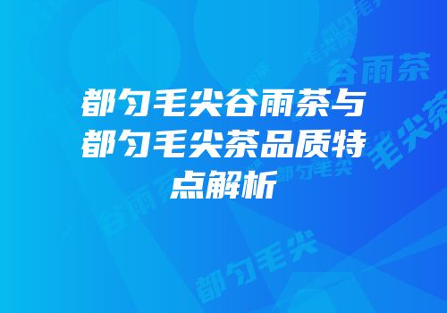 都匀毛尖谷雨茶与都匀毛尖茶品质特点解析