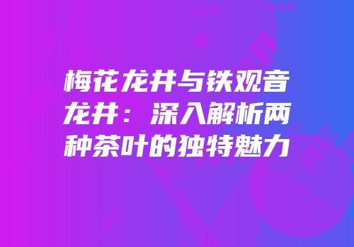 梅花龙井与铁观音龙井：深入解析两种茶叶的独特魅力