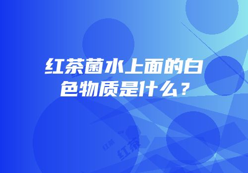 红茶菌水上面的白色物质是什么？