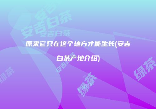 原来它只在这个地方才能生长(安吉白茶产地介绍)