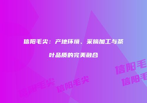 信阳毛尖：产地环境、采摘加工与茶叶品质的完美融合